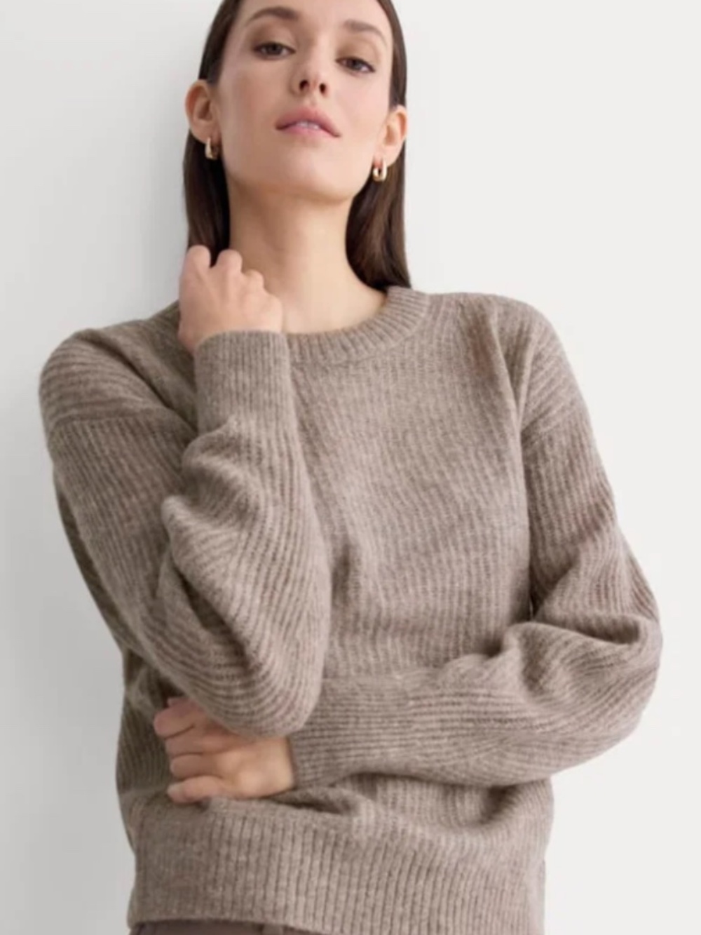 Everlane THE COCOON CREW IN ALPACA